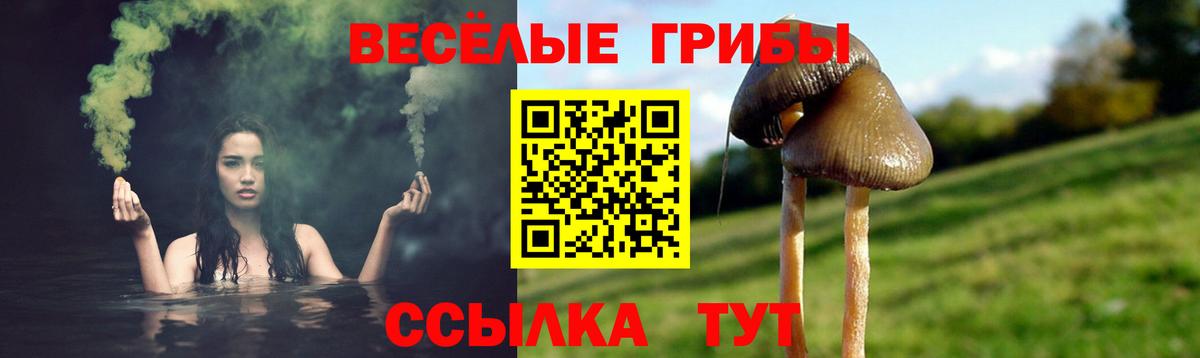 Псилоцибиновые грибы ЛСД Прохладный